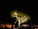 fairylightsbistro013