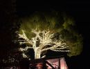 fairylightsbistro014