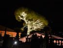 fairylightsbistro015