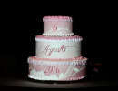 cakemapping014