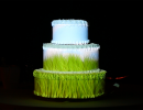 cakemapping015