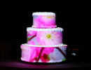 cakemapping016