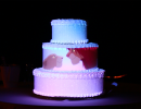 cakemapping018