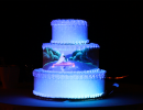 cakemapping019