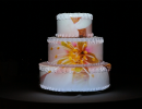 cakemapping021