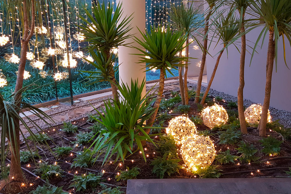 decorazione-luci-piante.jpg